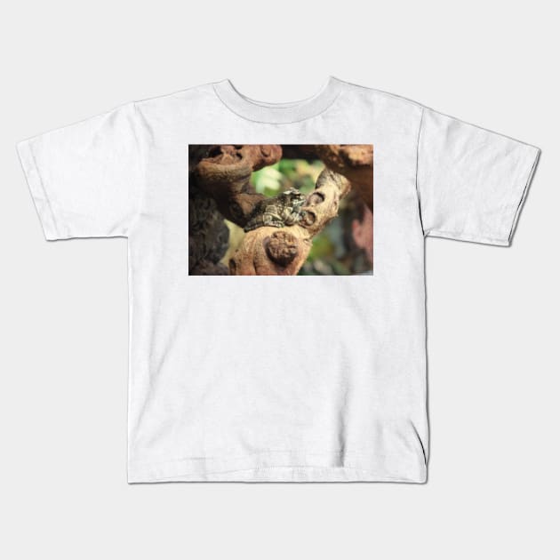 Phrynohyas resinifictrix Kids T-Shirt by n-dee-s